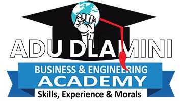 Adu Dlamini Academy Logo